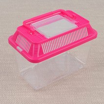 곤충 채집통 미니 곤충채집통 곤충관찰채집통 투명곤충채집통 채집통, 단품