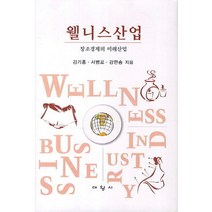 웰니스산업:창조경제의 미래산업, 대왕사, 김기홍 외 지음
