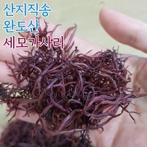 해초9찬들 모듬해초 샐러드, 7g, 10개