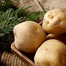 22년 타박타박 포근포근 국내산 햇 감자 5kg(왕특사이즈)