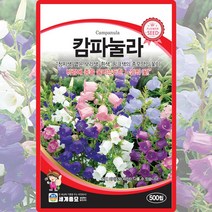 캄파눌라 씨앗 캄파눌라 씨 꽃 종자 500립, 1개