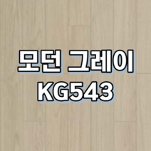 강마루 동화자연마루 나투스강, 1박스, 모던 그레이 KG543