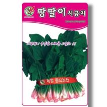 시금치 씨앗 종자 / 땅딸이 시금치 400g / 달콤한 재래종 대용량, 1개