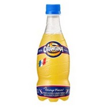 롯데칠성음료 오랑지나, 420ml, 16개