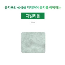 [아로마케이] 자일리톨 분말 비누 화장품 치약 만들기 재료 기능성원료, 100g