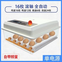 부화기 입문용 2021년 신상품 조류 자동 부화 병아리 계란부화기 36란 실험, 5. 계란부화기 16란