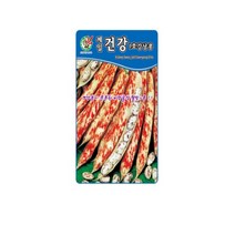 건강강낭콩 씨앗 채소 콩종자(50립) MK186
