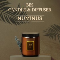 BES 누미너스 수제 캔들 강아지 고양이 냄새 제거 포함 46가지 자연향 향초, 100ml, 캔들용(심지O), Peach Sake