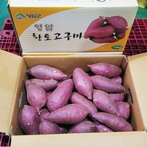 고구마 영암품명 황종복 연지 꿀고구마 35 10kg 품질엄선, 황종복연지 꿀고구마10kg(상품/선물용), 1개