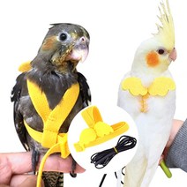 앵무새 반려새 하네스 발목링 산책 리드줄 0.2140ea, RA_ 3-앵무새하네스-M