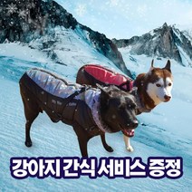 도기 패딩 베스트 강아지패딩 애견패딩 강아지겨울옷, 스카이블루