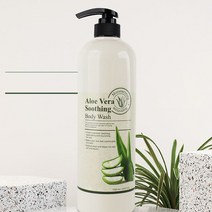 진정보습 필링효과 산뜻한 바디워시 1000ml 알로에 피부 몸 가려움증 건조증 모낭염 등드름, 1, 본상품선택