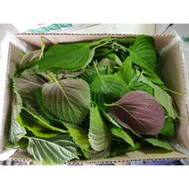 잎바라깻잎 파지깻잎 깻잎순 싱싱한 와촌깻잎2kg 4kg, 2kg