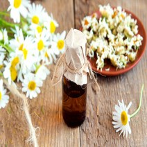 에센셜오일 카모마일저먼 Chamomile German E.O 캐모마일