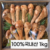 참송이버섯 1kg 프리미엄 가정용 선물용