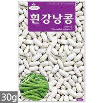 왜성적피 강낭콩 씨앗 30g - 콩씨 콩씨앗 씨 강낭콩씨 빨간강낭콩 붉은강낭콩씨앗 씨 강낭콩씨앗 주말농장 텃밭, 22_흰강낭콩(30g)