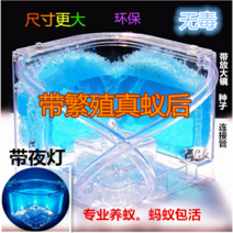 개미집 키우기 세트 정통 워크샵 학생 전용 여왕 생태 장난감 집 빌라, 사이즈는 6가지 색상으로 준비되어 있습니다. 주목