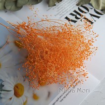 5G MINI Baby Breath Preserved Flowers For Home Decor DIY Dried for Aromatherapy Candle Resin Fillings, 01 5g, 06 Orange