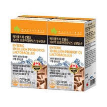 메이플트리 장용성 100억 프로바이오틱스 생유산균 60캡슐 2통 4개월분, 선택완료, 단품없음