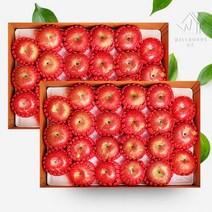 [웰굿]경북 정성담은 명품 사과선물세트 총10kg(5kg(19-22과)x2), 단품