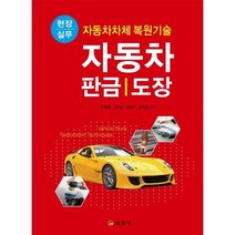 자동차 판금 도장 현장실무, 상품명