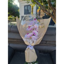 호접란 꽃풍선, 1개