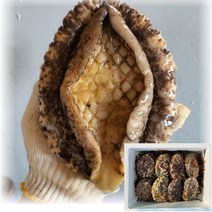 산지직송 국산 통영 자연산 전복 활전복 1kg 해녀가 직접 잡은 대 특대 왕특대 스페셜, 2_1. 특대 전복 500g(3~4미), 1개