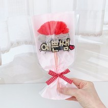 핑크캔디 예쁜쌤 카네이션볼펜, 레드, 무료포장서비스