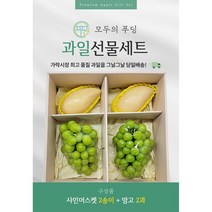 [백화점납품과일]초신선 당일경매입고 골드망고2수 샤인머스켓2수 생일선물 고당도 기념일 선물세트/가락시장 최상급과일, 골드망고2수샤인머스켓2수