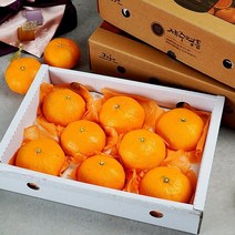(지투지샵) 9월5일 오전8시까지 주문시 명절전배송 제주 레드향 선물용 4.5kg 12-15과