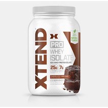 엑스텐드 프로 웨이 이솔레이트 프로틴 파우더 단백질보충제 초코 라바케이크 바닐라아이스크림 680g, 1개, 바닐라(Vanilla Ice Cream)-0.68Kg