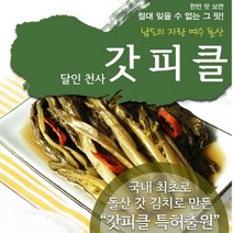 생활의 달인 천사 여수 갓피클 1kg