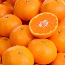 하우스감귤 2kg(소중과) 고당도 제주도 노지 타이백 감귤
