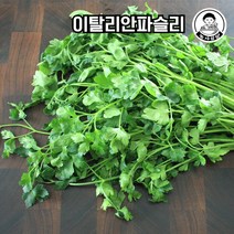 [농사임당] 이탈리안파슬리 향나물 이태리파슬리 50g/100g, 100g
