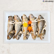 영광법성포 부세보리굴비 5두릅 중 / 업소용 / 나주수산 / 50미 / 160g이상