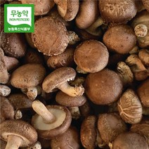 장흥표고버섯 무농약 국내산 배지 생 표고버섯 산지직송 특품 상품 가정용 1kg 2kg, 1개