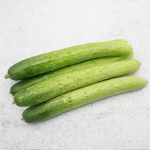 빛고을장터 아삭하고 수분가득한 백다다기오이 (특품) 10kg 5kg 3kg 2kg 백오이, 1BOX, 백다다기오이 (특품) 2kg내외