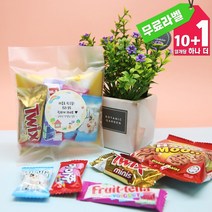 교생실습선물 학교 학생 간식 꾸러미 과자 5종 세트