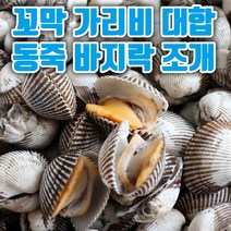 생물동죽조개1kg 재구매 높은 상품