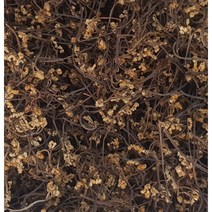 통통고사리(덕유산고사리 자연산) 300g, 1봉지