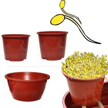 플라스틱 대형 콩나물시루 새싹 재배기 플라스틱 화분 식당 업소용, 기본형시루 (1호), 1개