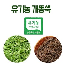 해피스토어70 국내산 말린 유기농 개똥쑥 300g (건조 개똥쑥차)