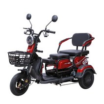 삼륜 오토바이 다인승 어르신 전동차 농촌 삼발이, 플래그십 800W 48V23a배터리 50km