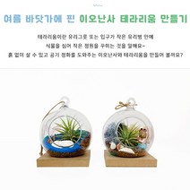 테라리움키트 이오난사 테라리움 만들기 친환경 이끼화분 초등 만들기키트 성인 어르신 치매예방놀이 DIY 취미KIT 미술재료 만들기재료, 2)산호섬