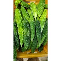 생여주 국산여주 국내재배 생여주, 한국생여주 500g