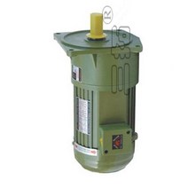 3상유도전동기 단상모터 0.2kW AC 220V 380V 3 상 중형 기어드 모터 저속 대형 토크 수직 설치 산업용 교반, 11 25rpm