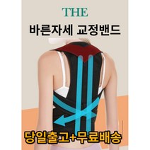 (특가할인) THE 바른 자세교정밴드 굽은등 교정기 등 라운드숄더 (S~L) 남녀공용, 1개
