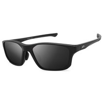 팬톤 FANTON 편광 스포츠선글라스 SF730, 스모크