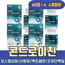 보스웰리아 콘드로이친 산양유 초유단백질 락토페린 어골칼슘 비타민C E B2 B6 철분 엽산 환 가루 분말 캡슐 가격 성분 이란 복용법 지성 송중기 코스트코 소연골 소유래 철갑상어