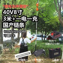 무선 높은 가지 치기 전기톱 고지 고지대 충전식 수목, 40V 8인치 3m